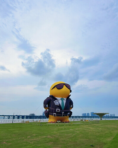 image_1